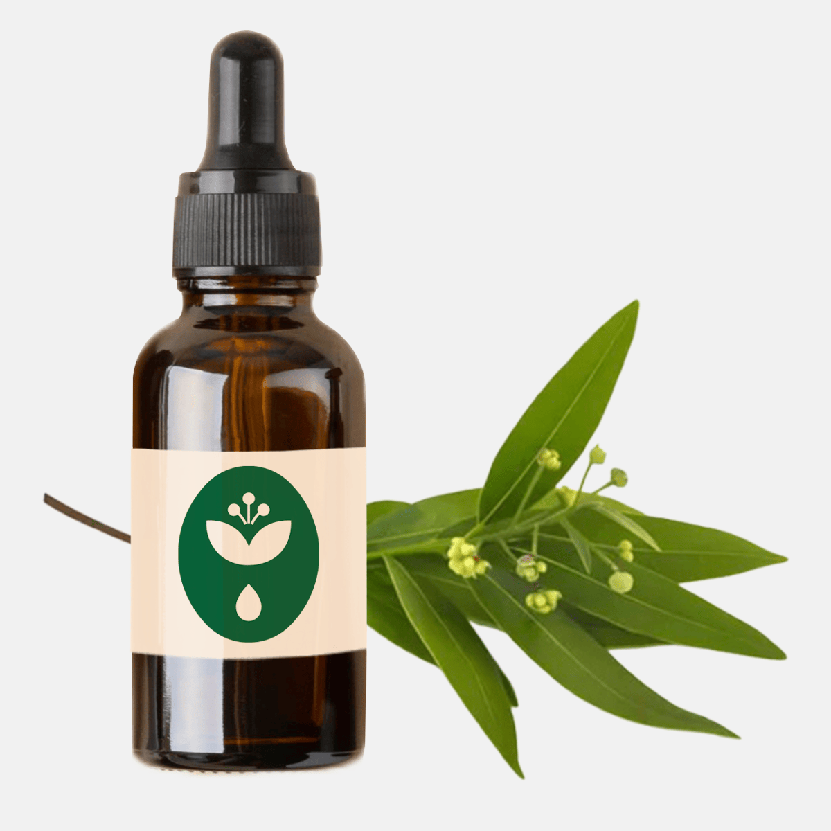 aceite esencial de canelo nativo