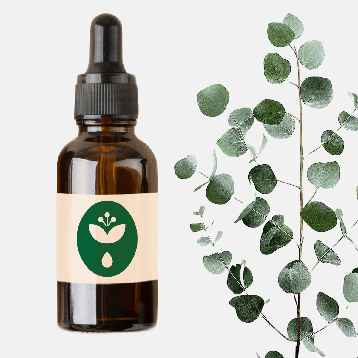 aceite esencial de eucalipto